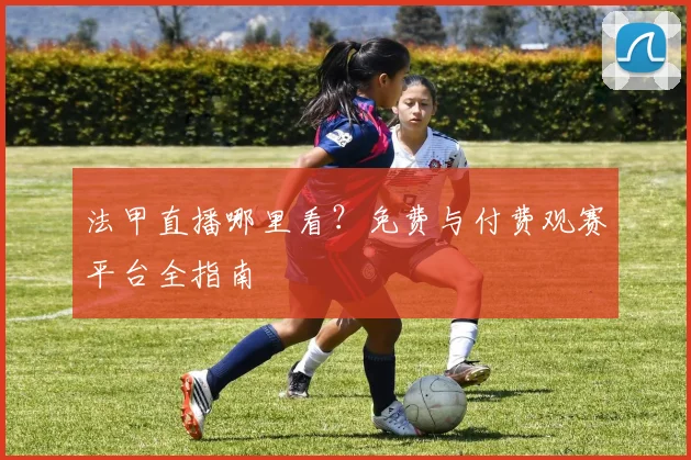 法甲直播哪里看?免费与付费观赛平台全指南
